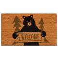  Home & More 1.42 W X 2.42 L Multi-color Bear Greeting Coir Door Mat