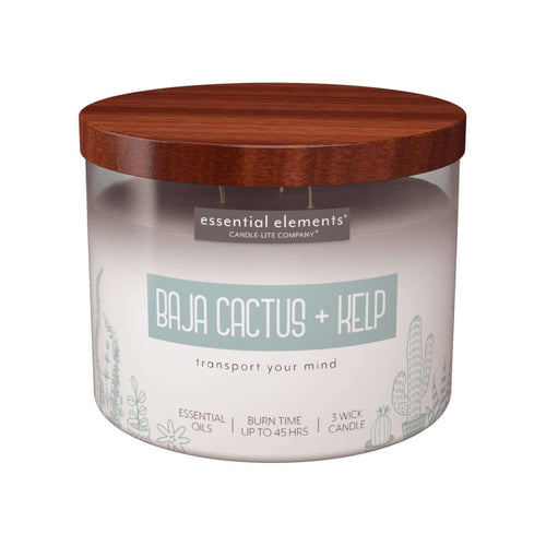  Candle-Lite Essential Elements White Baja Cactus/Kelp Scent Candle 14.75 Oz