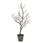  Tripar 31.5 In. H X 16 In. W X 16 In. L Black Metal/Plastic Twig Tree With Pot