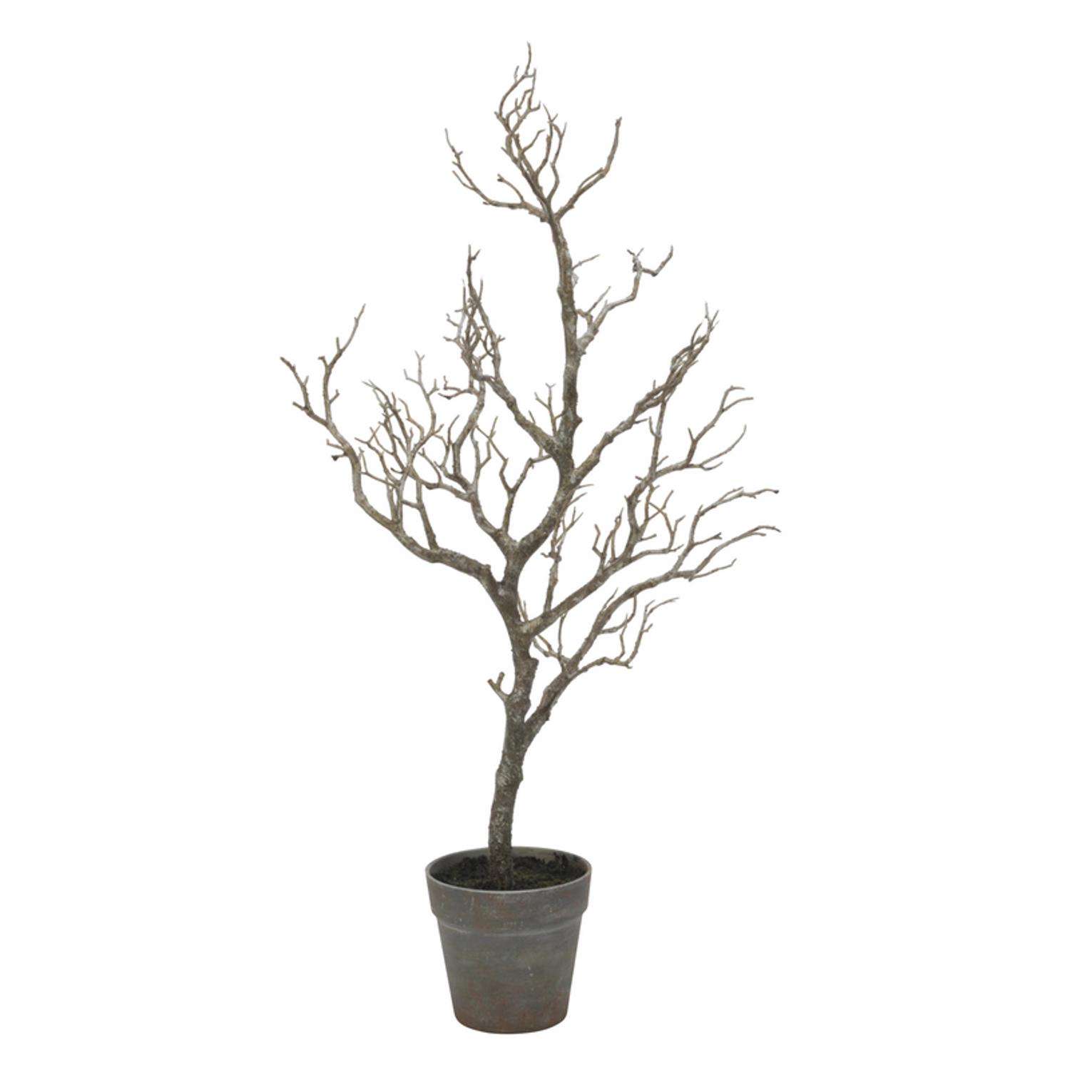  Tripar 31.5 In. H X 16 In. W X 16 In. L Black Metal/Plastic Twig Tree With Pot