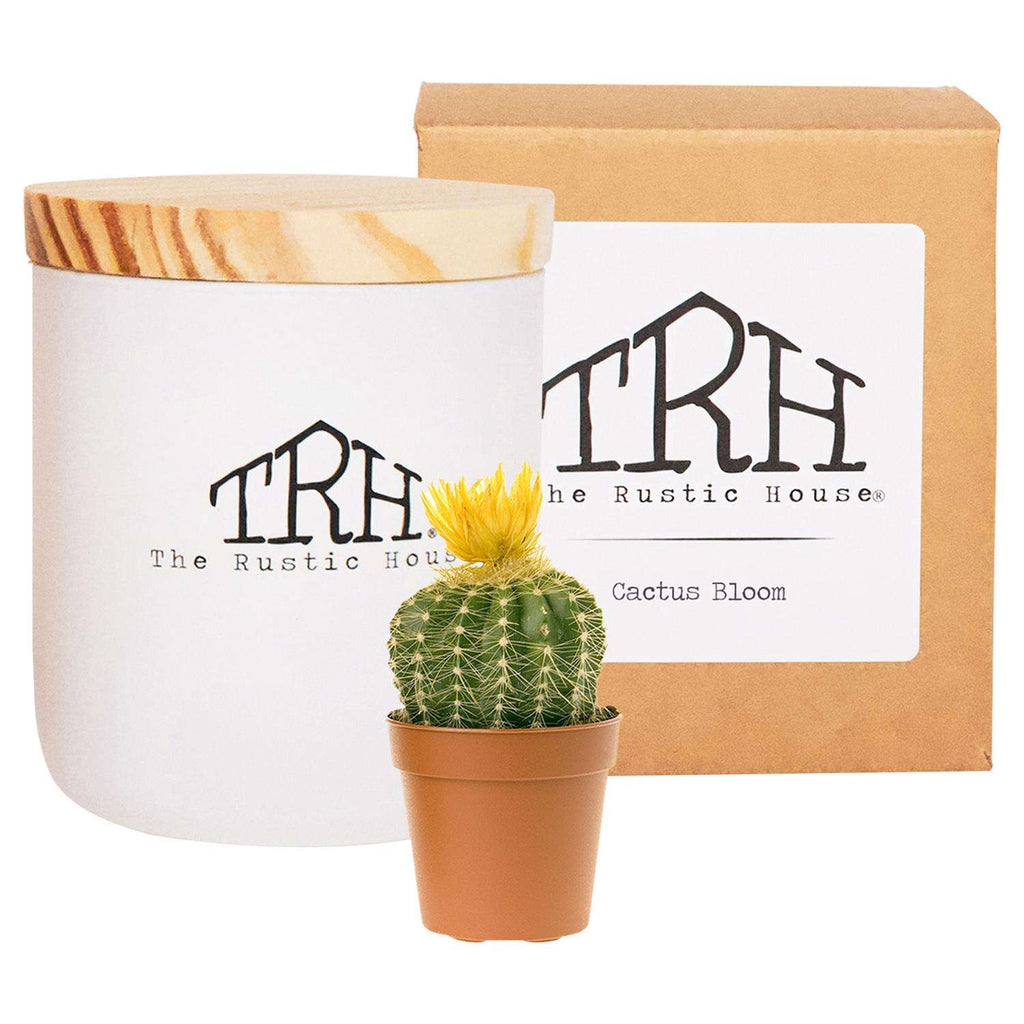  The Rustic House White Cactus Bloom Scent Candle 8 Oz