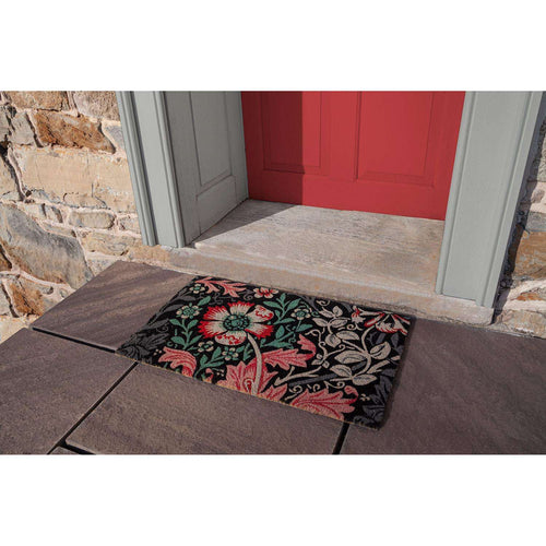  Entryways 18 In. W X 30 In. L Multicolored Dianthus Coir Door Mat