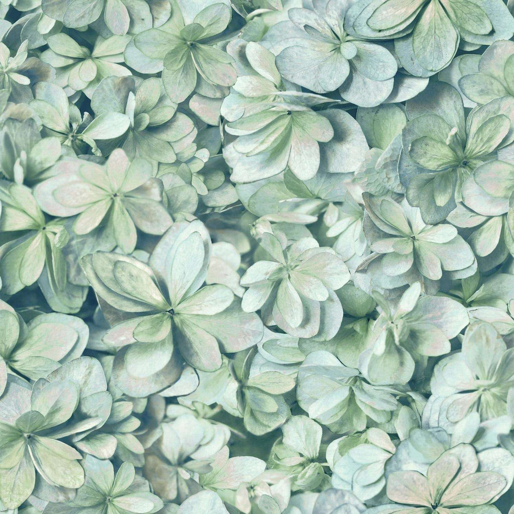  RoomMates 20.5 In. W X 18.86 Ft. L Hydrangea Vinyl Peel And Stick Wallpaper