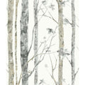  RoomMates 20.5 In. W X 16.5 Ft. L Birch Trees Vinyl Peel And Stick Wallpaper