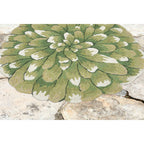 Liora Manne Frontporch 5 Ft. W X 5 Ft. L Green Novelty Polyester Rug