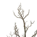  Tripar 31.5 In. H X 16 In. W X 16 In. L Black Metal/Plastic Twig Tree With Pot
