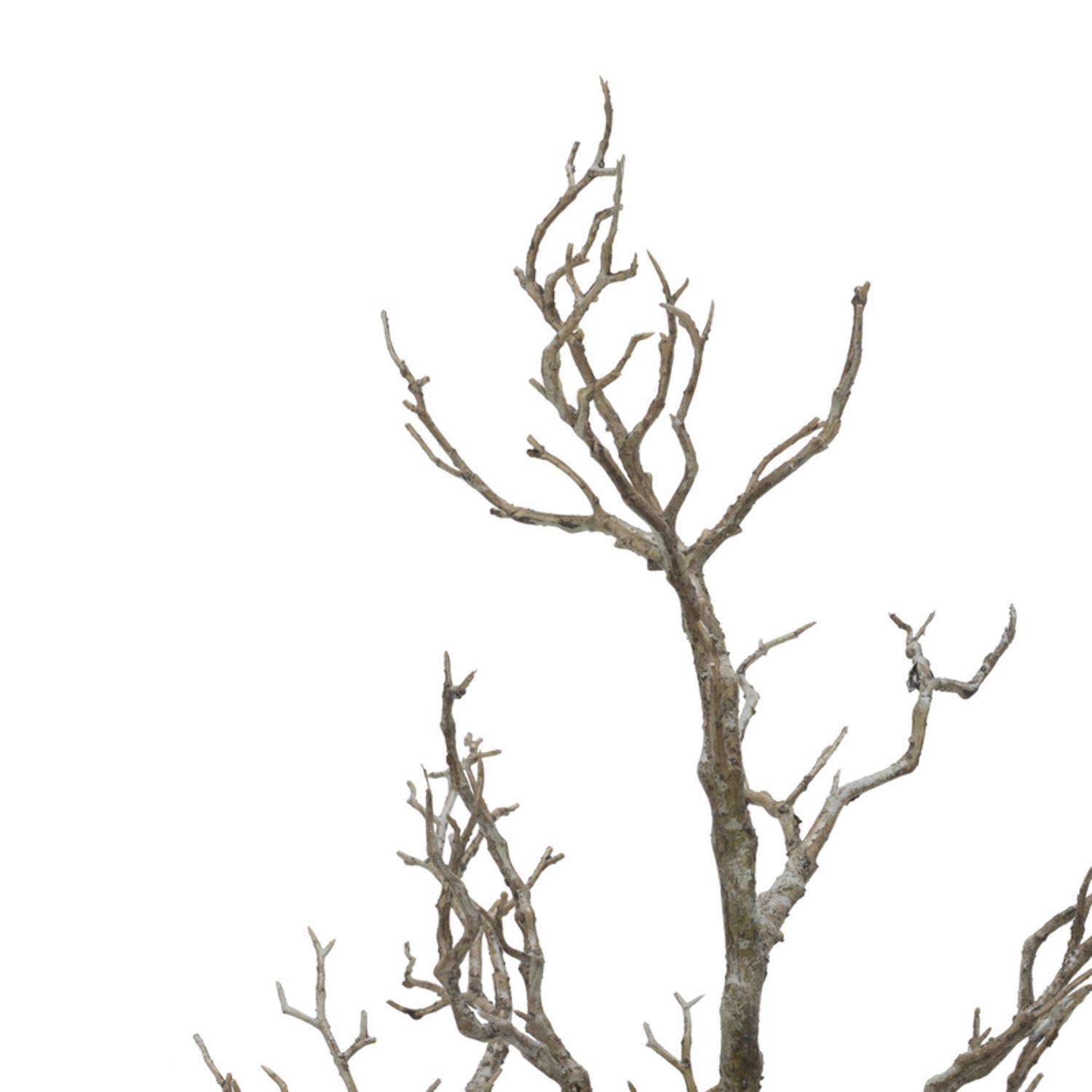  Tripar 31.5 In. H X 16 In. W X 16 In. L Black Metal/Plastic Twig Tree With Pot