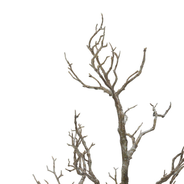 Tripar 31.5 In. H X 16 In. W X 16 In. L Black Metal/Plastic Twig Tree With Pot