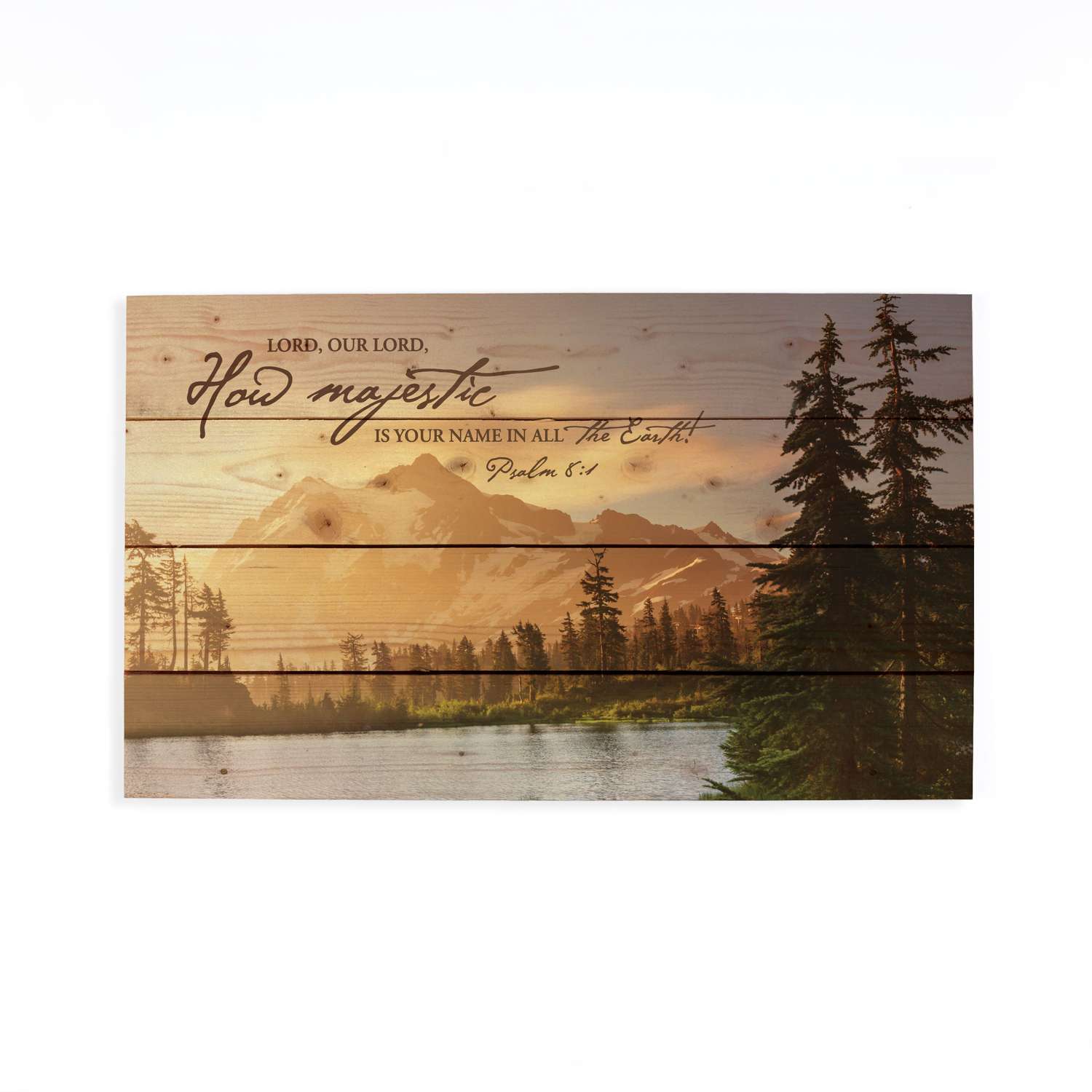  P. Graham Dunn 14 In. H X 1 In. W X 24 In. L Multicolored Wood Pallet Decor